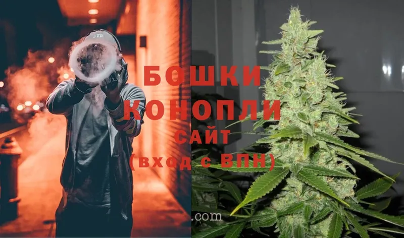 Каннабис OG Kush  Минусинск 